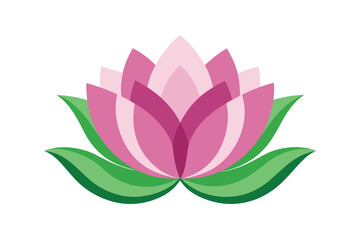 Fototapeta premium lotus flower vector illustration on white background