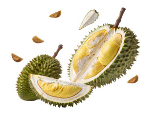 Obraz premium Freshly Cut Durian Fruit with Exposed Sweet Yellow Flesh on Transparent Background