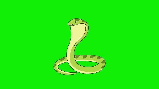 2d cartoon snake animation 4k green screen