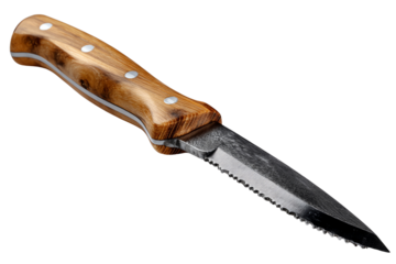 Knife with wooden handle, white isolate background