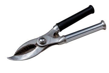 Obraz premium Pruning shears, white isolate background