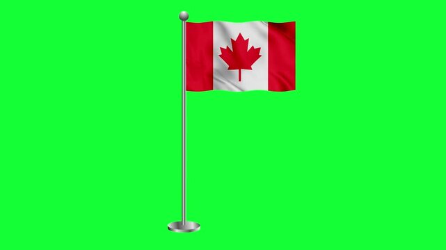 Canada colorful flag waving 3d rendered animation green screen 4k
