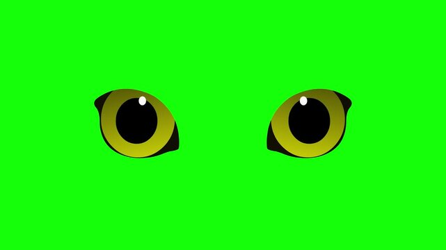 Cat eyes blinking eyes blink  looking font side view 4k animation green screen