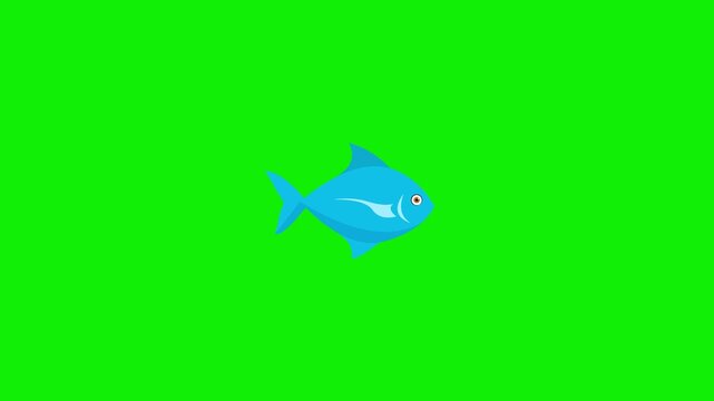 Fish animation swimming moving on green background 4k animation