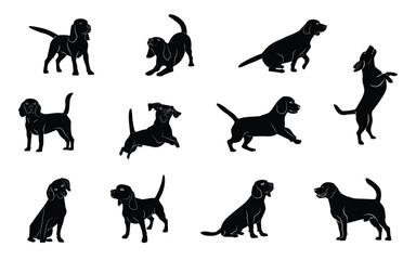 Beagle-12  [Converted]