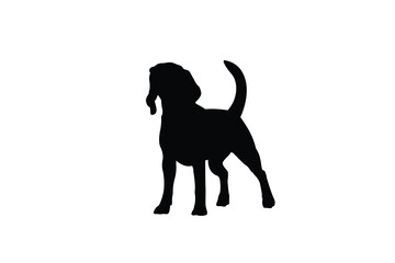 Beagle-12  [Converted]