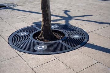 Improvement of urban environment, modern urban environment, pedestrian path in park. Circle tree grate with irrigation system and lighting elements near grass patch on pedestrian sidewalk