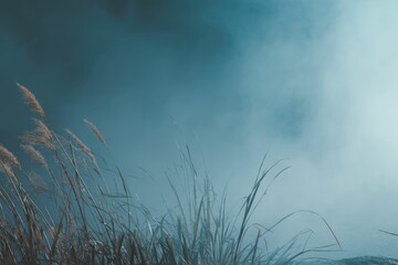 Obraz premium Misty Meadow: Serene Grasses in a Dreamlike Blue Haze