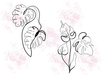 Elegant Line Art Monstera Leaves with Pink Watercolor Splashes