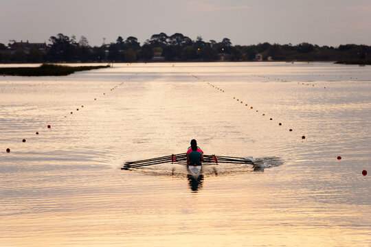 Rowing training on a lake in the evening
