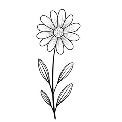 Flower black line art.