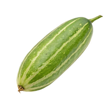 Pointed gourd (Parwal) isolated on a transparent background