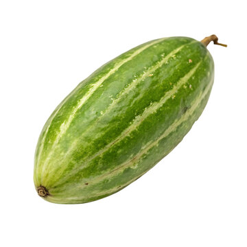 Pointed gourd (Parwal) isolated on a transparent background
