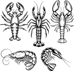 Artistic hand-drawn lobster, crab, and shrimp illustrations on white background, perfect for seafood branding, restaurant logos, and menu designs.