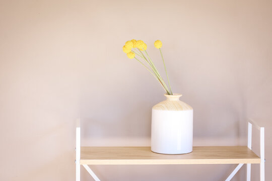 Yellow Billy Button flowers in white vase with plain wall background