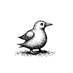 Monochrome portrayal of a diminutive bird, illustrated with distinct sketching