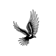 Monochromatic etching of a bird in downward flight displaying textured plumage
