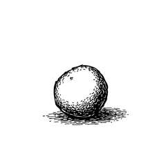 Monochrome depiction of a sphere rendered through intricate hatching techniques