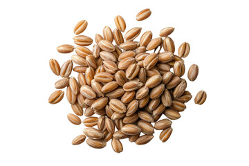 A handful of farro grains with a smooth surface, isolated on a transparent background, PNG file.