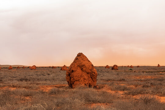 Giant termite mound in Pilbara landscape in dust storm