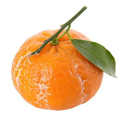 Whole tangelo fruit on transparent background