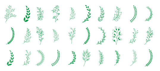 Set of floral branches. Laurel wreaths. Foliate laurels branches. Award winner champion. Vector illustration