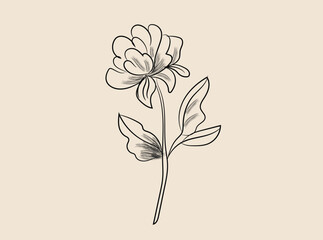 Elegant Line Drawing of a Single Flower with Leaves