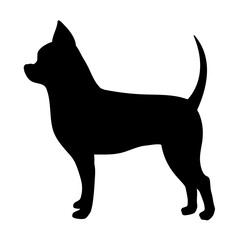Chi hua hua dog svg cut file. Isolated vector illustration.