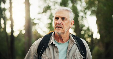 Outdoor, hiking and senior man in forest, journey and adventure in nature, traveller and retirement. Backpacking, travel and elderly person on holiday in woods, trekking or exploration of environment