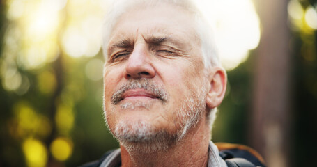 Breathing, fresh air and senior man on hike, outdoor and oxygen in natural environment and traveller. Backpacking, calm and peace for elderly person in woods, smell or scent of countryside on holiday