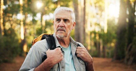 Thinking, hiking and senior man in forest for travel, holiday or vacation on adventure. Thoughts, trekking or old person in woods for reflection, vision or sightseeing to explore nature in retirement