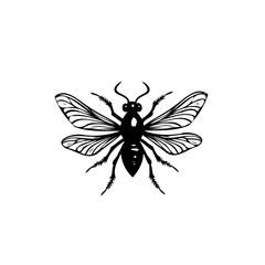 Detailed monochrome illustration of an isolated insect against a white backdrop