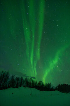 Green aurora borealis lights above snowy landscape in Sweden