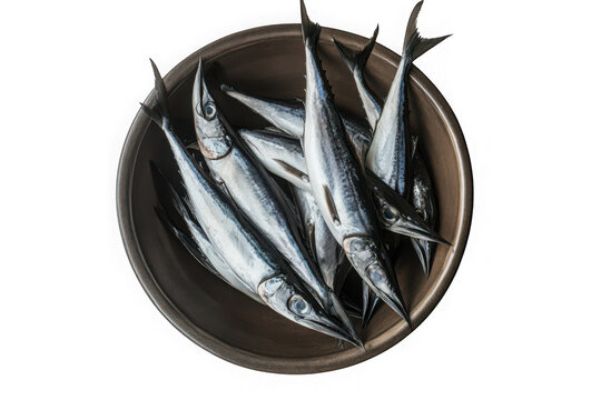 Needlefish garfish sea fish marine life seafood ocean fish silver fish raw fish fresh fish isolated on transparent background