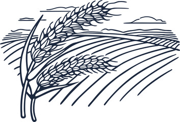 Illustration of wheat in field, agricultural landscape with clear sky, rural farmland scene