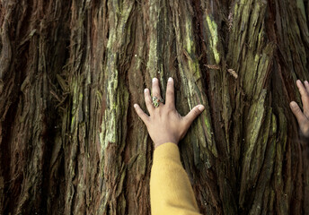 Hand touching rough tree bark evokes nature connection in Australia