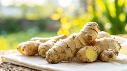 Ginger on table with ginger slice in garden in natural background, Gingers on wooden table with ginger slice