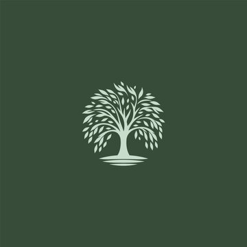 Willow tree logo in graceful and minimalist illustration style.