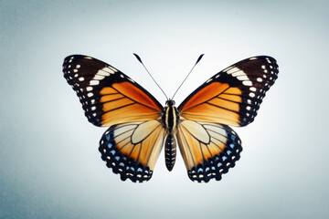 Obraz premium A butterfly flies high in the clear blue sky