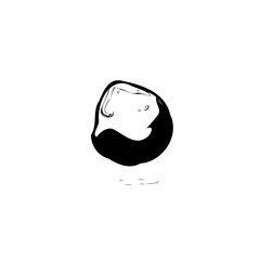 Monochrome abstraction of organic form with subtle light reflections and shadow