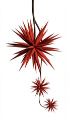 red and white fireworks