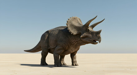 Fototapeta premium Triceratops, dinosaur, prehistoric, Triceratops in a Desert Landscape