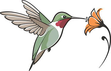 Minimalist Hummingbird Vector