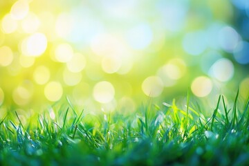 Obraz premium Lush green grass in a serene natural setting. illuminated by soft sunlight filtering through trees. creating a peaceful atmosphere ideal for relaxation or outdoor activities