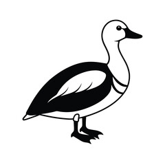 king eider waterfowl bird silhouette