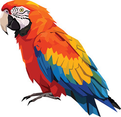 Obraz premium Minimalist Macaw Vector Design