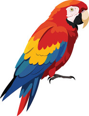 Minimalist Macaw Vector Design