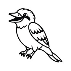 laughing kookaburra line art sketch