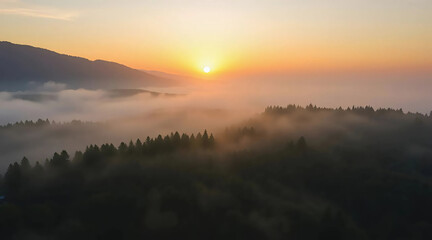 Aerial panorama of a misty forest at sunrise. Golden fog over mountain valleys. Flying above lush green treetops. Morning haze, rural fields, sun peeking over the horizon. natural landscape.