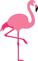 Minimalist Flamingo Vector Illustration